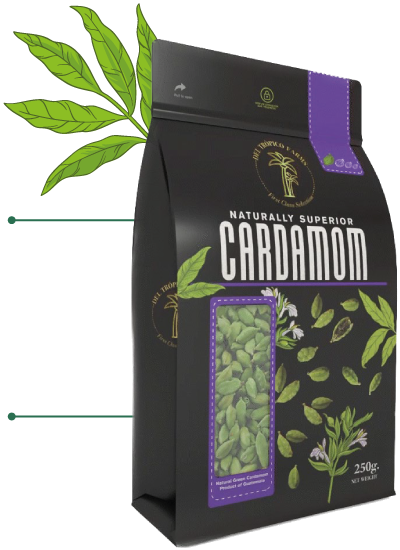Quality Pack Jumble Cardamom
